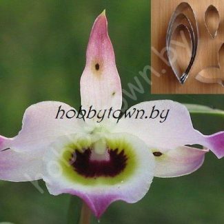 Каттер Дендробиум Findlayanum (размер L)