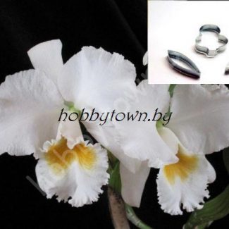 Каттер Орхидея Каттлея (размер М)