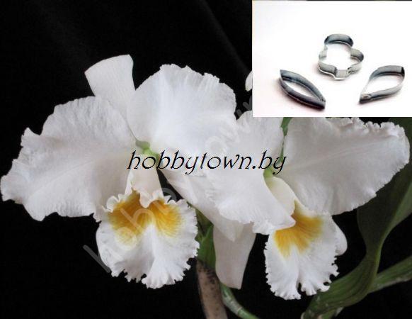 Каттер Орхидея Каттлея (размер М)