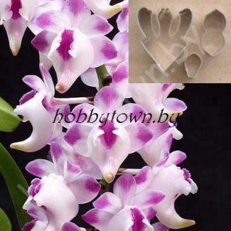 Каттер Орхидея Aerides lawrenceae