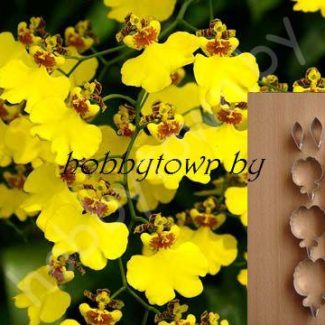 Каттер Онцидиум "Золотой дождь" (размер L)