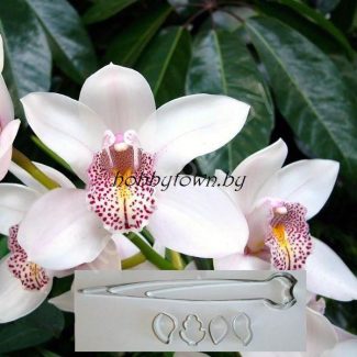 Каттер Орхидея Цимбидиум (размер М)