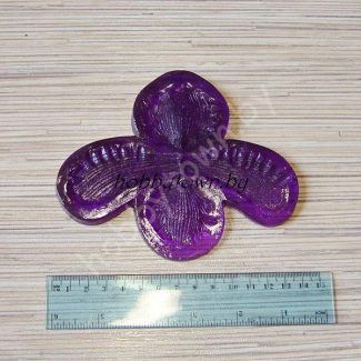 Молд Пафиопедилума