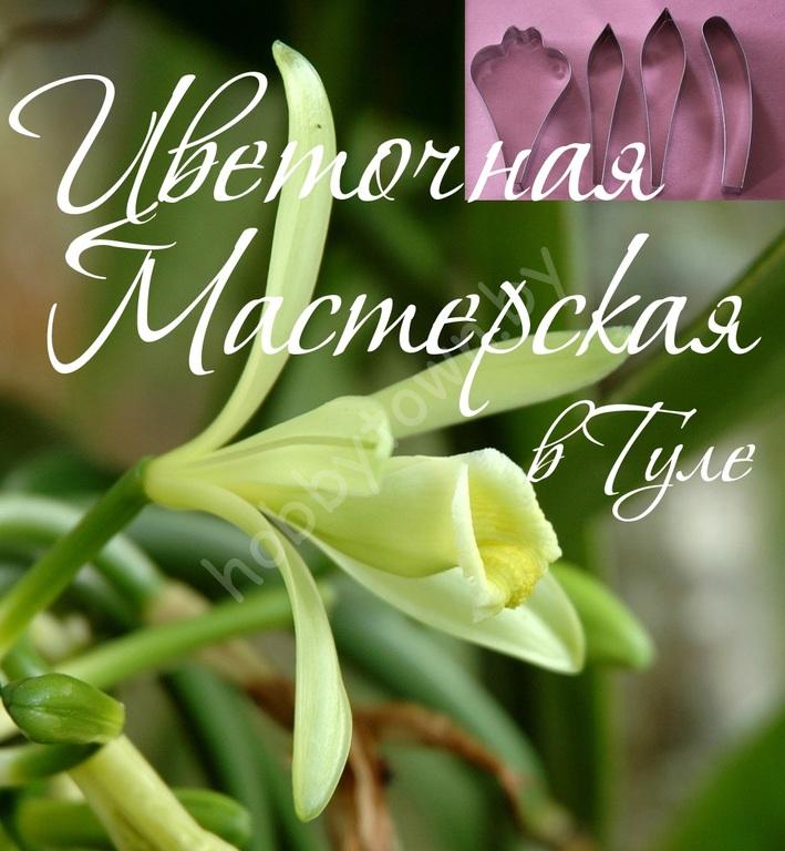 Каттер Орхидея Ваниль (лепестки) — изображение 2