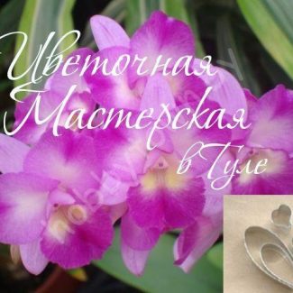 Каттер для глины и сахарной мастики Дендробиум Varut Crystal размер S