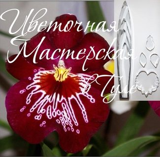 Каттер для глины и сахарной мастики. Орхидея Мильтония размер M