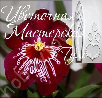 Каттер для глины и сахарной мастики. Орхидея Мильтония размер M