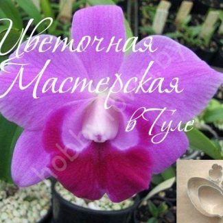 Каттер для глины и сахарной мастики Орхидея Дендробиум Laeliocattleya Mini Purple размер S