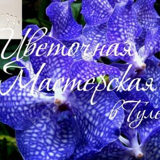 Каттер для глины и сахарной мастики Орхидея Ванда размер SS (для миниатюр)