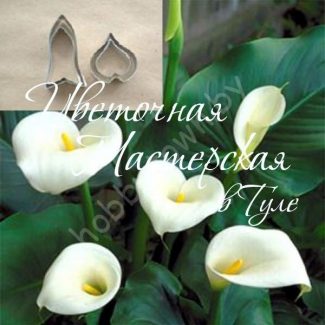 Каттер для глины и сахарной мастики. Цветок Калла размер S