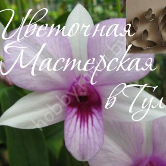 Каттер для глины и сахарной мастики. Цветок Madame Wipa размер S