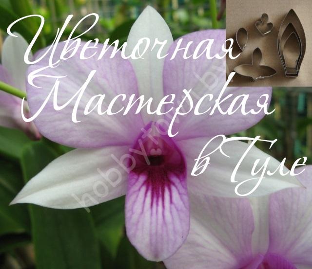 Каттер для глины и сахарной мастики. Цветок Madame Wipa размер S