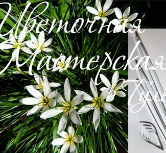 Каттер для глины и сахарной мастики. Зефирантес размер L