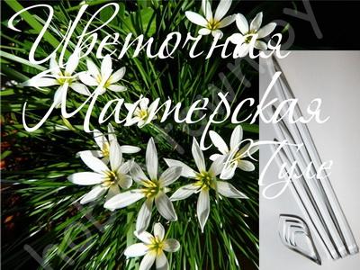 Каттер для глины и сахарной мастики. Зефирантес размер L