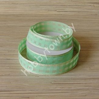 Лента декоративная переплёт 2,5 см (цв. салатовый) 1м