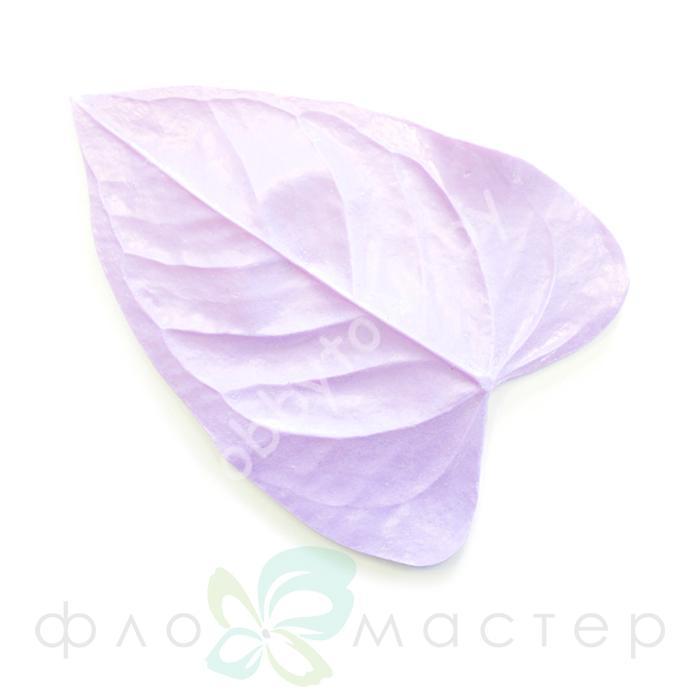 Молд Лист Антуриума — изображение 2