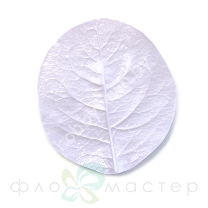 Молд Лист Каприфоль (Жимолость) Большой — изображение 2