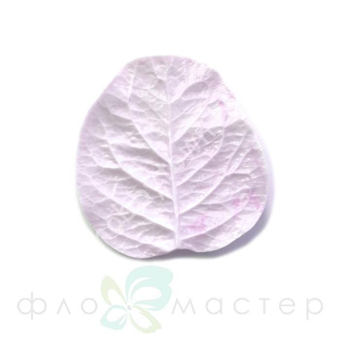 Молд Лист Каприфоль (Жимолость) Маленький — изображение 2