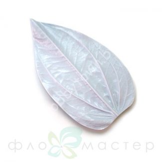 Молд Лист Цинии