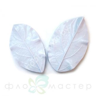 Набор Молдов Листья Яблони