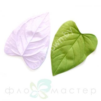 Молд Лист Антуриума