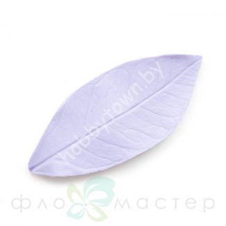 Молд Лист Мандарина С Вогнутой Фактурой