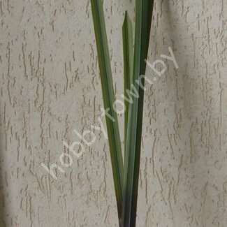 Листья орхидеи "Ванда" 74,5 см