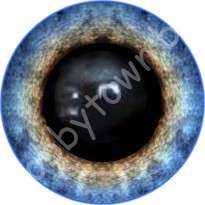 Глаза для игрушек, винтовые, 12 мм